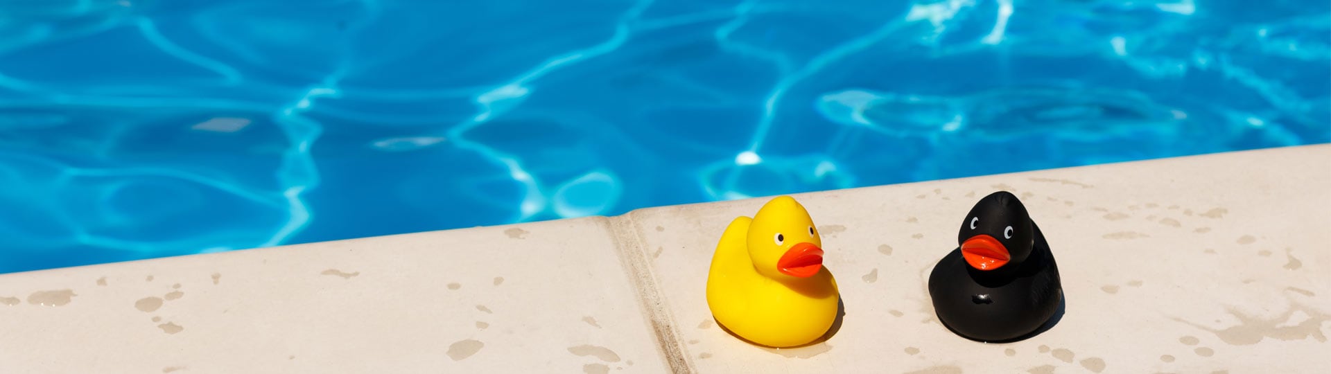 puesta-punto-piscina-verano